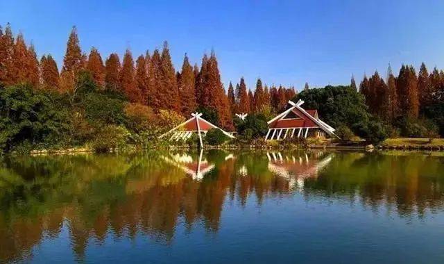 上海有博物馆各类公园还有候鸟保护区崇明岛有得玩