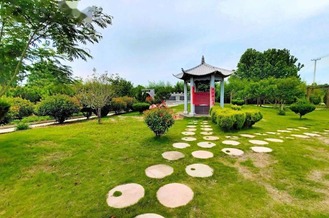 赣榆这个镇荣获乡村振兴成就奖,是你老家吗?