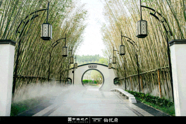 639_426gif 动态图 动图