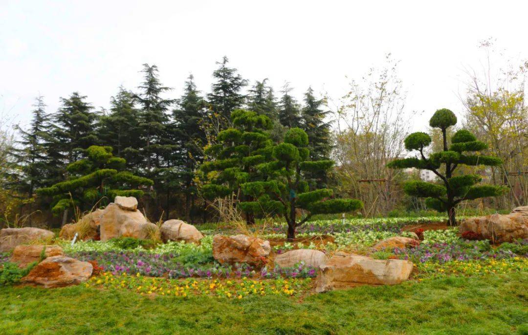 威海这条主干道林海公园颜值升级