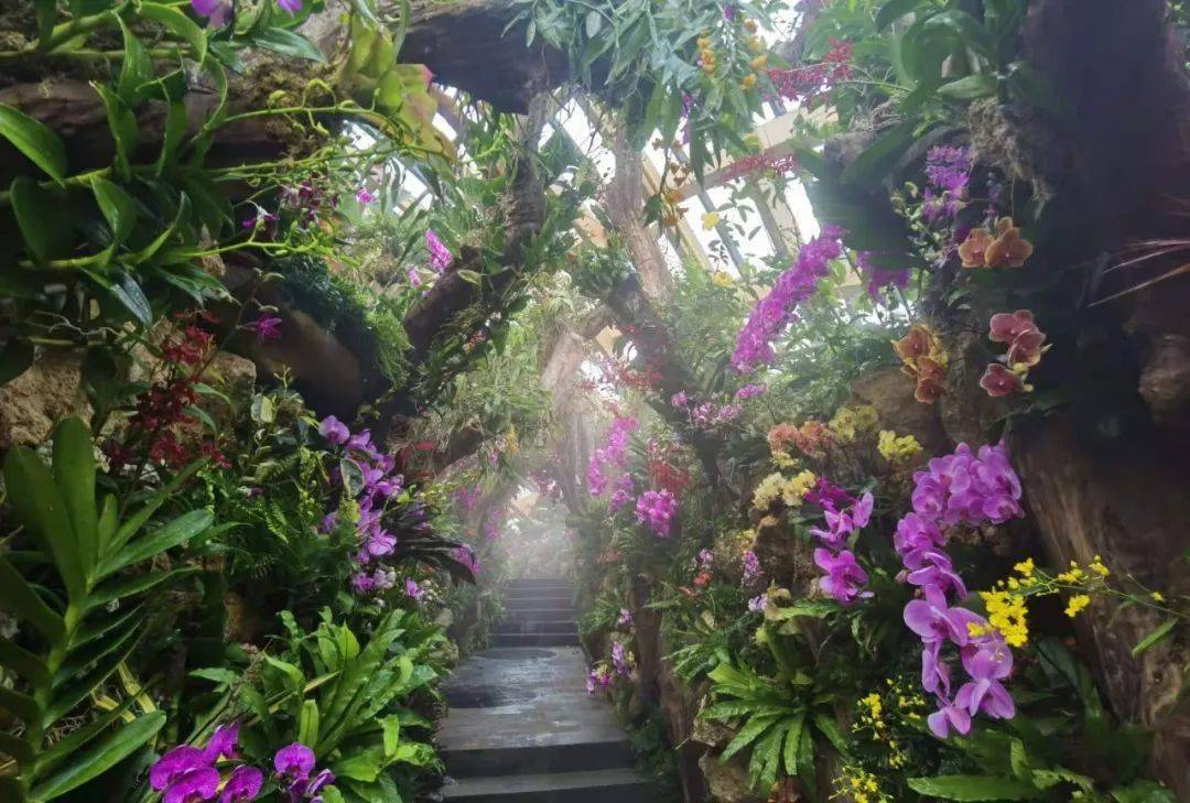 太原植物園最新調整!_門票