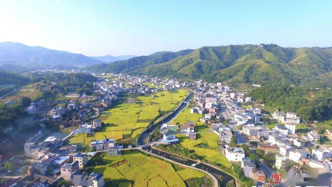 兴宁罗新辉在北京人民大会堂接受表彰兴宁黄槐镇变了