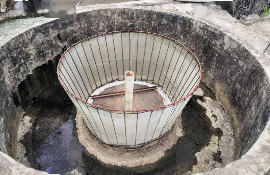 在粤东地区率先引进培育淡水白鲳——普宁市鱼苗养殖场