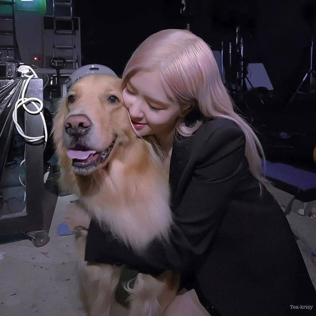 一眼就爱上的微信头像