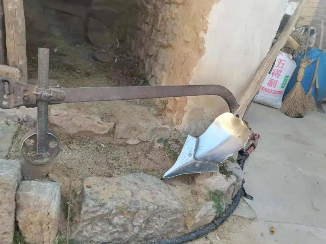 一张老犁的幸福时光