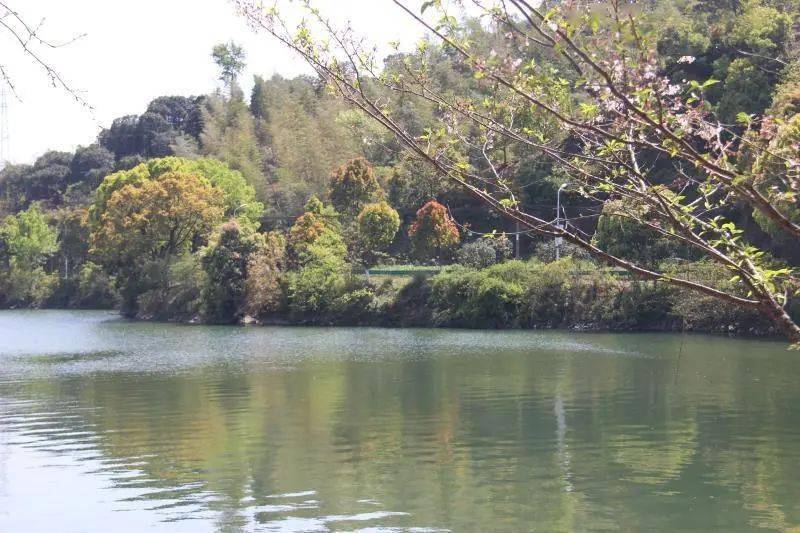 隱居雲湖山水間,江北這個古樸小山村風景如詩_南聯村