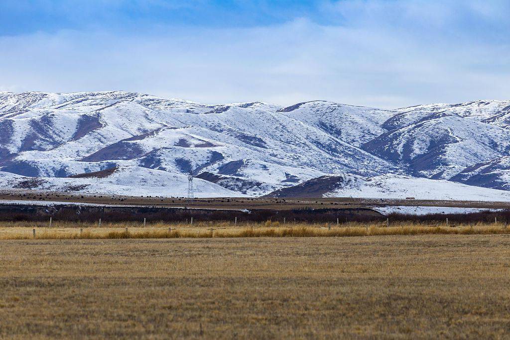 四川阿坝:冰雪覆盖的红原大草原宁静圣洁