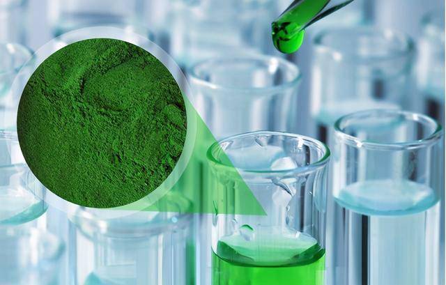 蛋白核小球藻是什么蛋白核小球藻有什么功效和作用