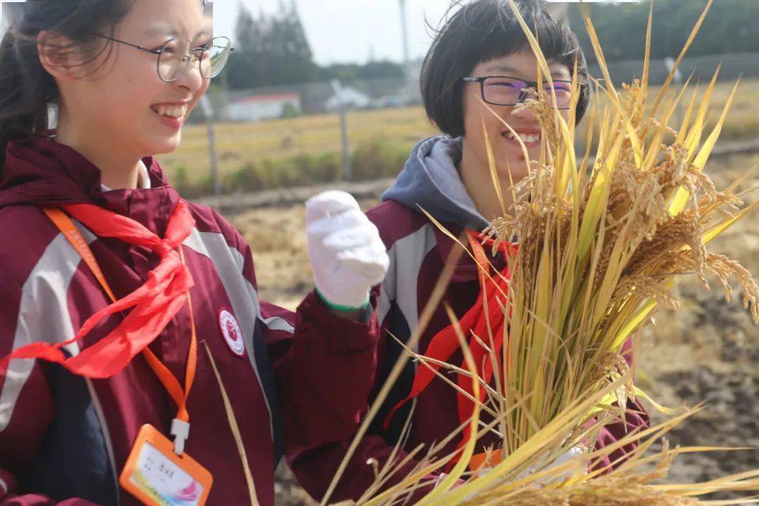 華江中學新成路小學百合花幼兒園山桓齦魴〕,護綠小衛士,家務