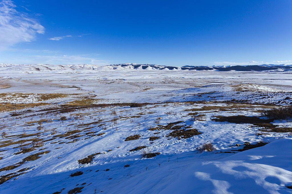 四川阿坝:冰雪覆盖的红原大草原宁静圣洁