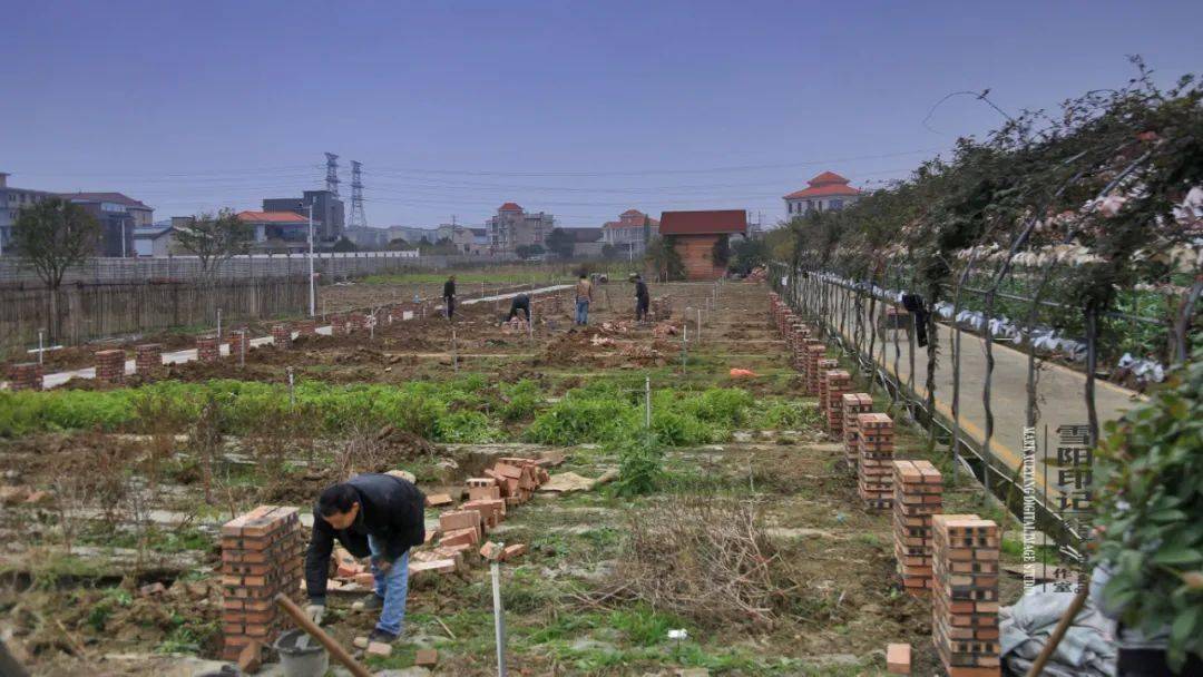 华银生态园 · 雪阳印记 | 休闲娱乐生活体 绿色环保生态园