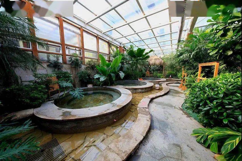 抢购价仅88元南宫民族温泉养生园成人门票平日周末通用