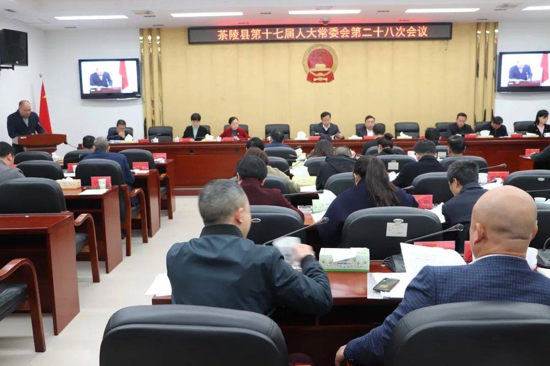 茶陵县第十七届人大常委会第二十八次会议召开