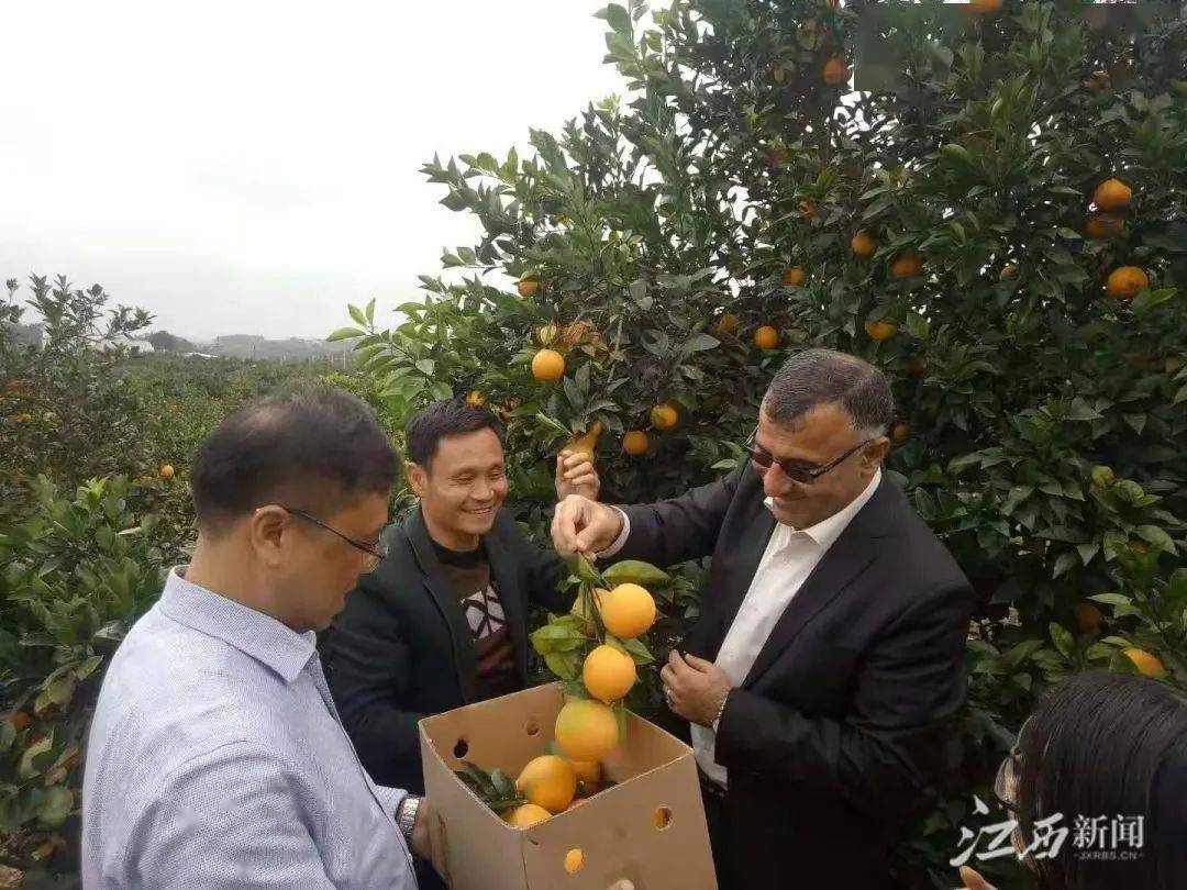 龙湖村第一书记刘晋成介绍,村里原先土坯房较多,村内全是泥巴路,雨天