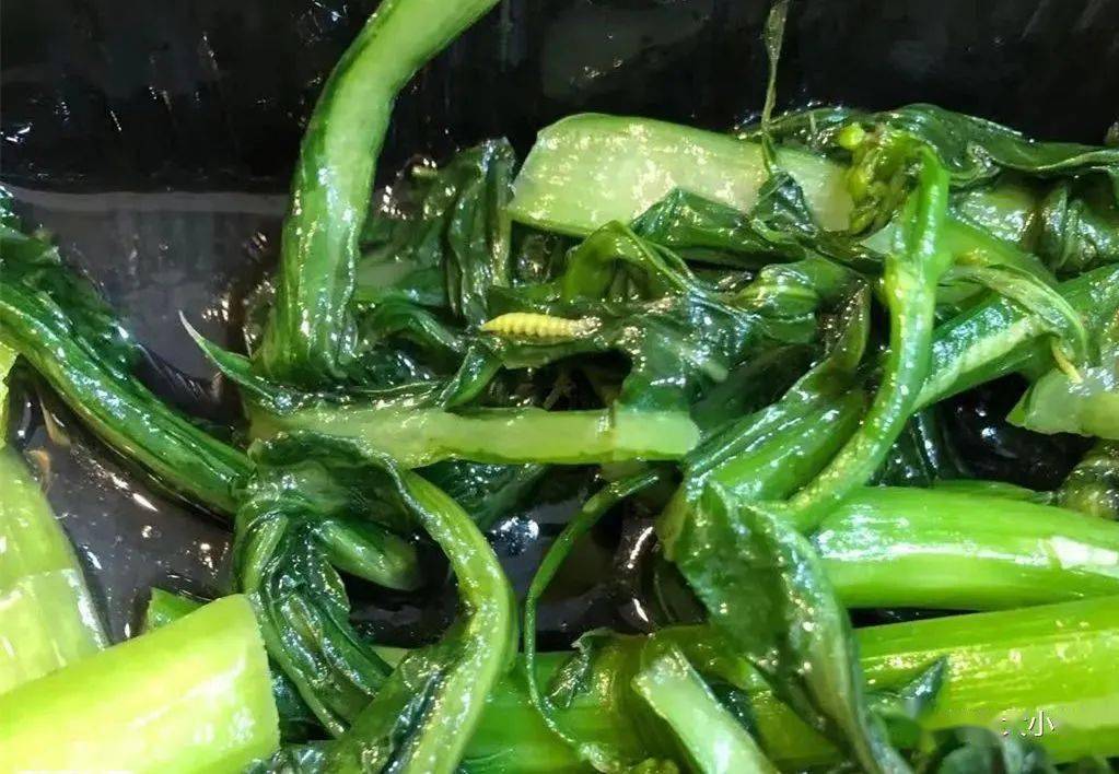 2条信息:横县友报料"这些蛆···"你见过吗?