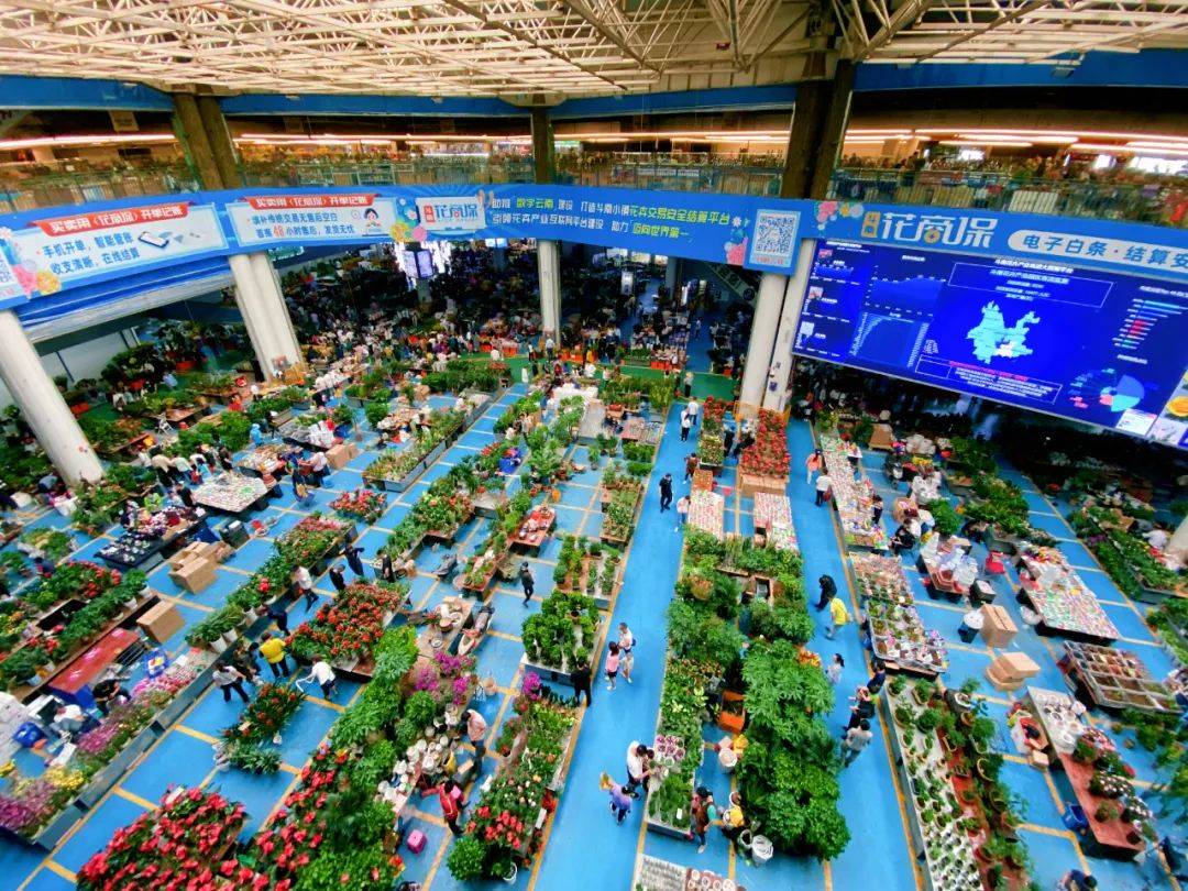 斗南花卉市场 杨静 摄