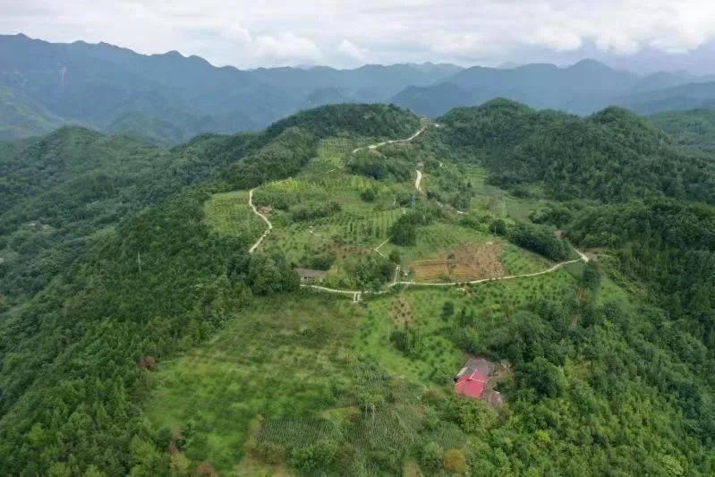 果园镇花果村图片