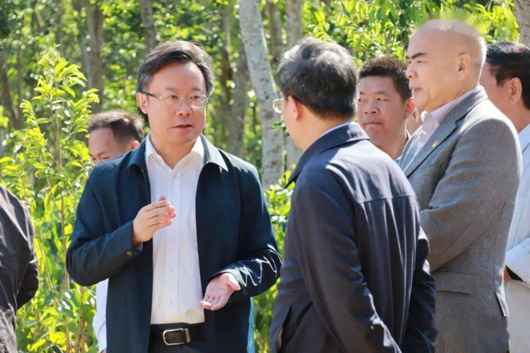 市区镇三级领导齐关注电白沙琅这条村因为沉香成团宠