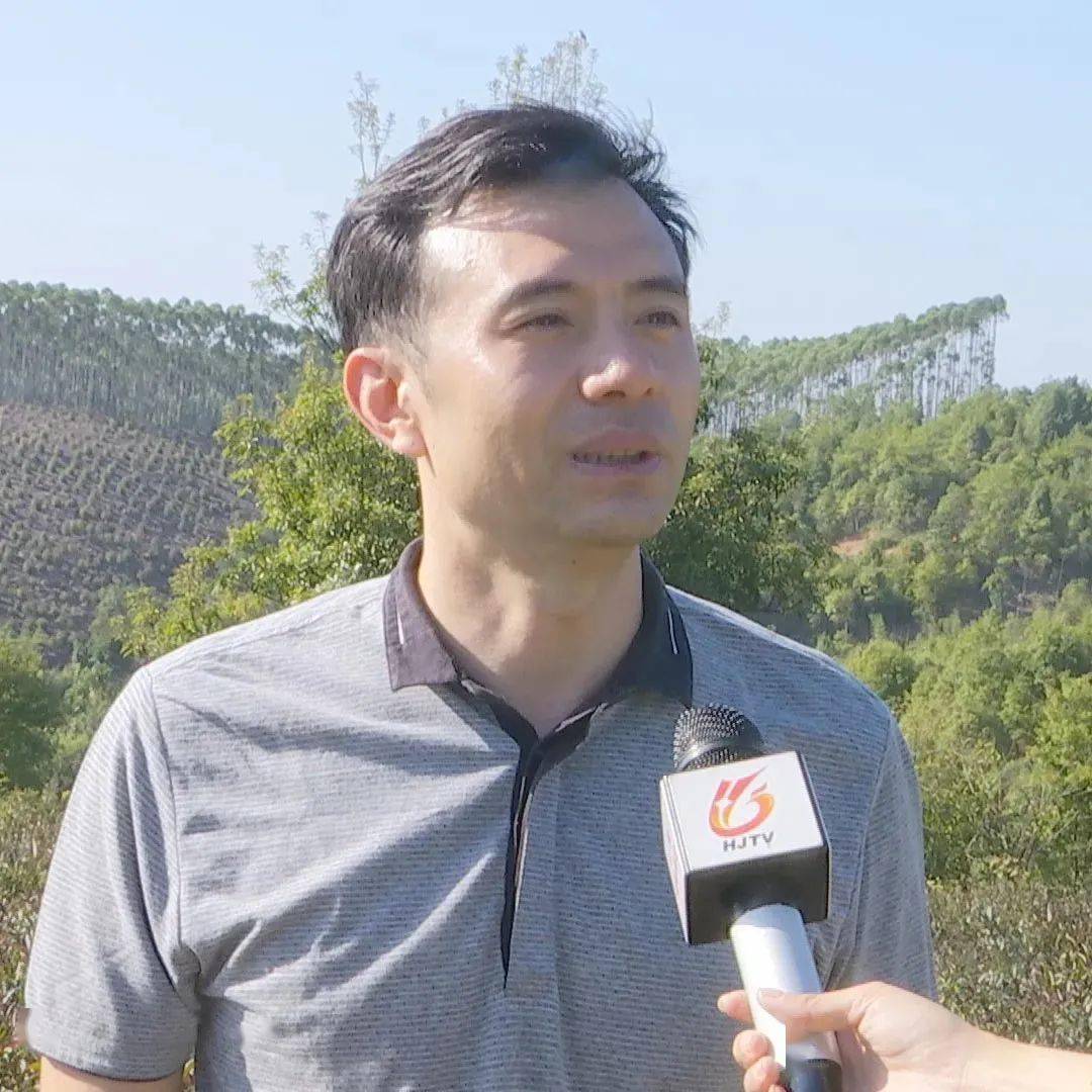 "茶"里的故事,细细品来……_手机搜狐网