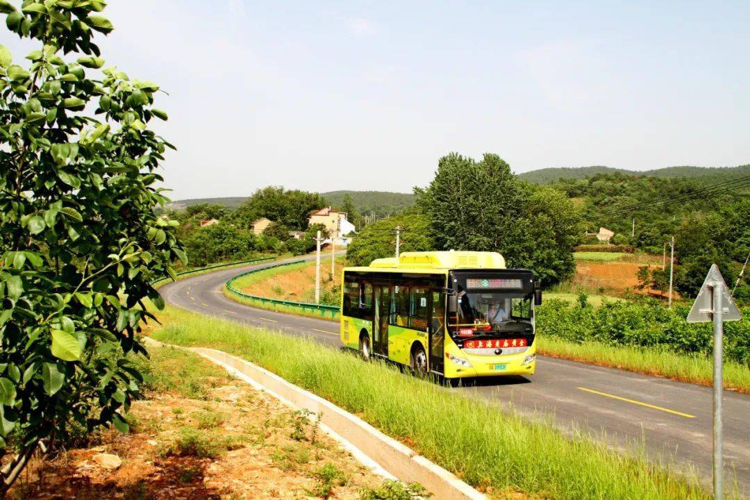 影像丨人大代表看小康_夏阁镇