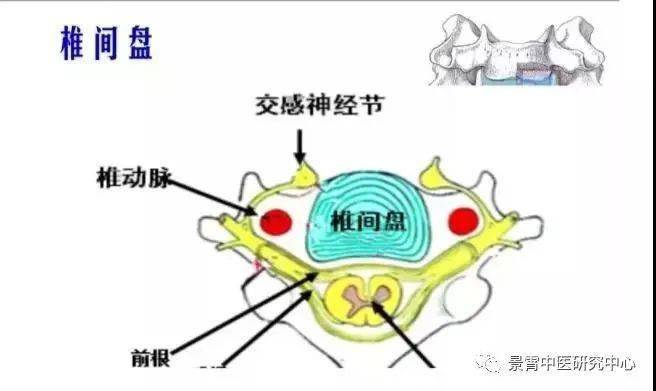 颈椎病的土方法最佳治疗_颈椎病有什么土方法可以冶_治疗颈椎病的土方法15