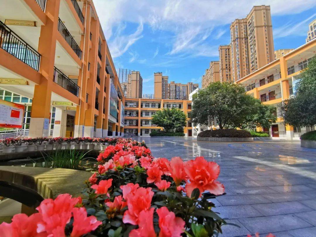 爱成都迎大运最美校园伴我行丨成都市沙河堡小学