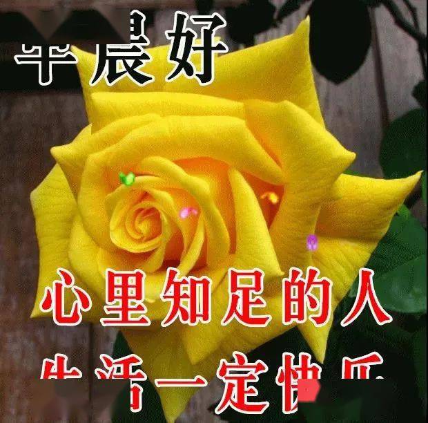 冬日早上好温馨祝福语录动态图片鲜花带字,清晨问候大家早上好的漂亮