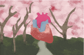 350_232gif 动态图 动图