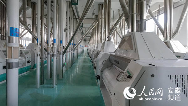 探访安徽最大面粉厂日处理小麦4200吨02实验室天天做面点