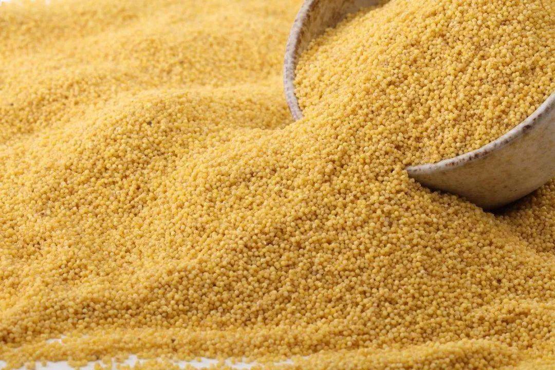 第十八届中国国际农产品交易会上 赤峰小米获誉"最受欢迎农产品"