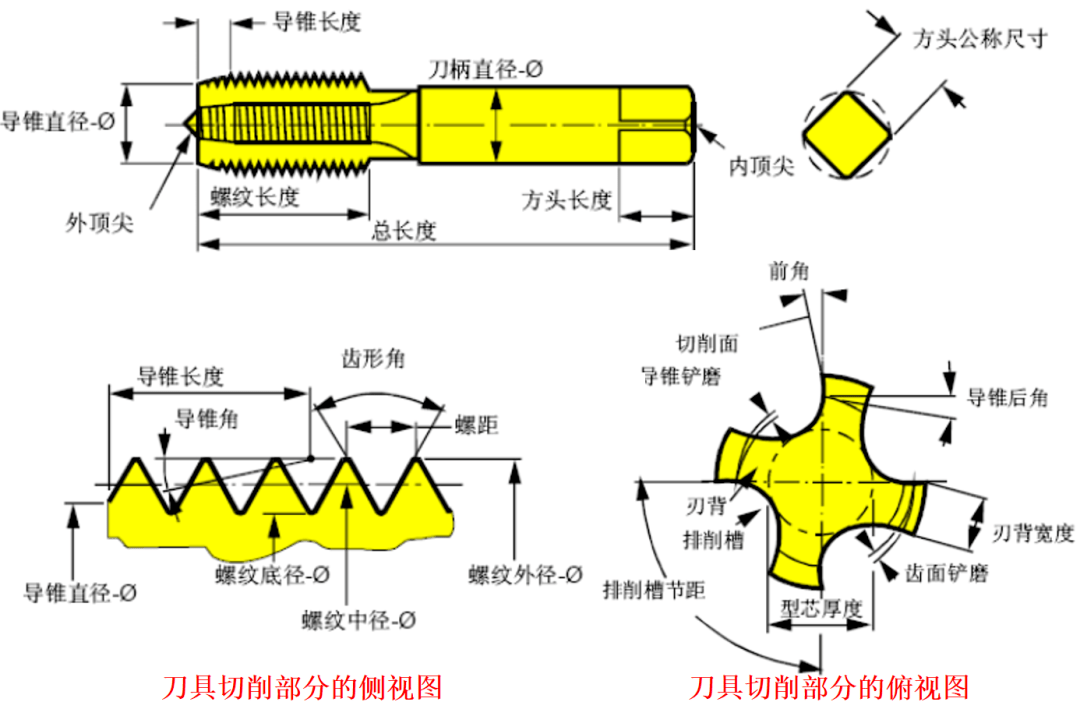 锥体结构图解图片