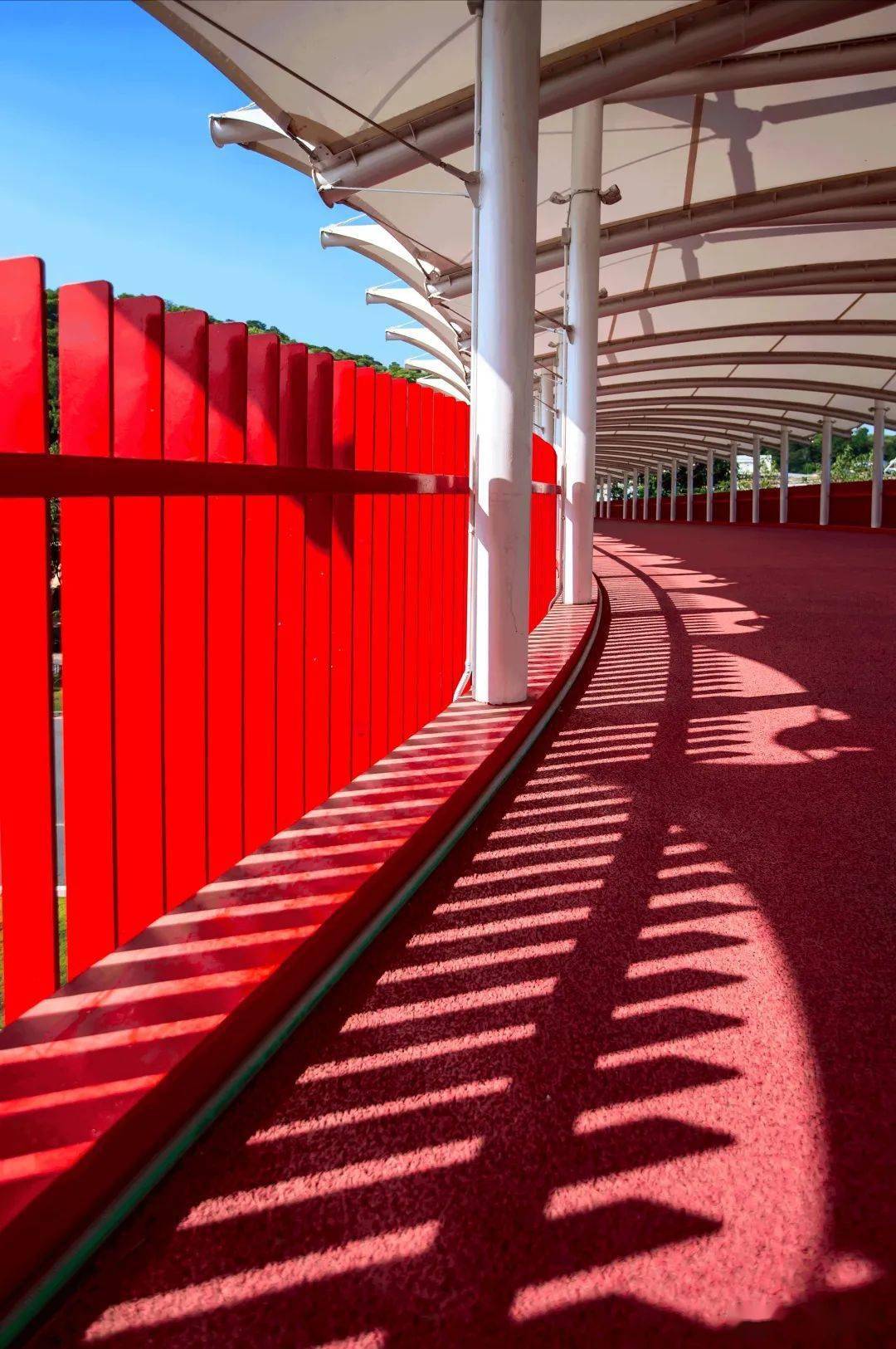 深圳最美"红飘带"是怎样建成的?