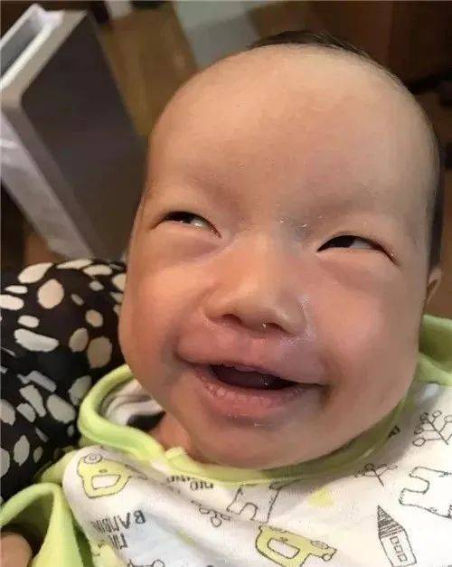 日本丑娃大赛丑到怀疑人生