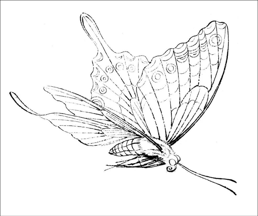 工笔画草虫美眼蛱蝶设色技法详细文字解析