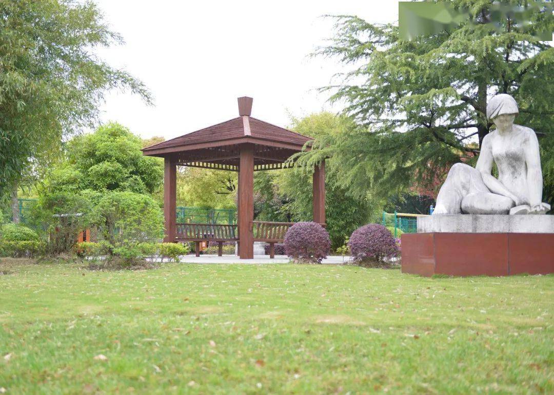 桃李芬芳一甲子徐泾中学风雨兼程六十载