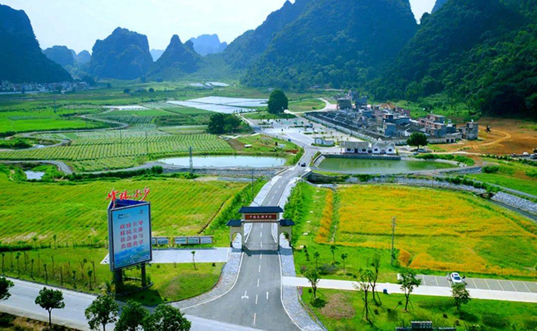 中国百佳范例美丽乡村—英德九龙河头村概貌