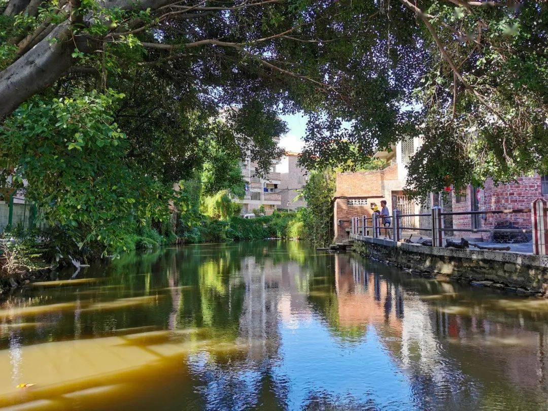 佛山这条村私藏700年的水乡诗意武术文化入人心