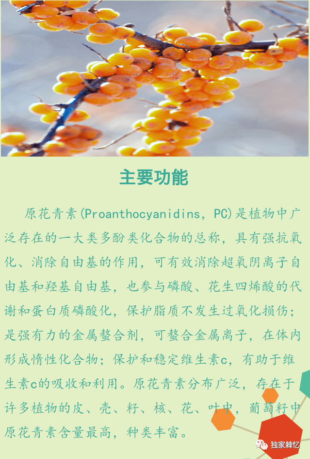 沙棘宝库之原花青素完美诠释十大功效
