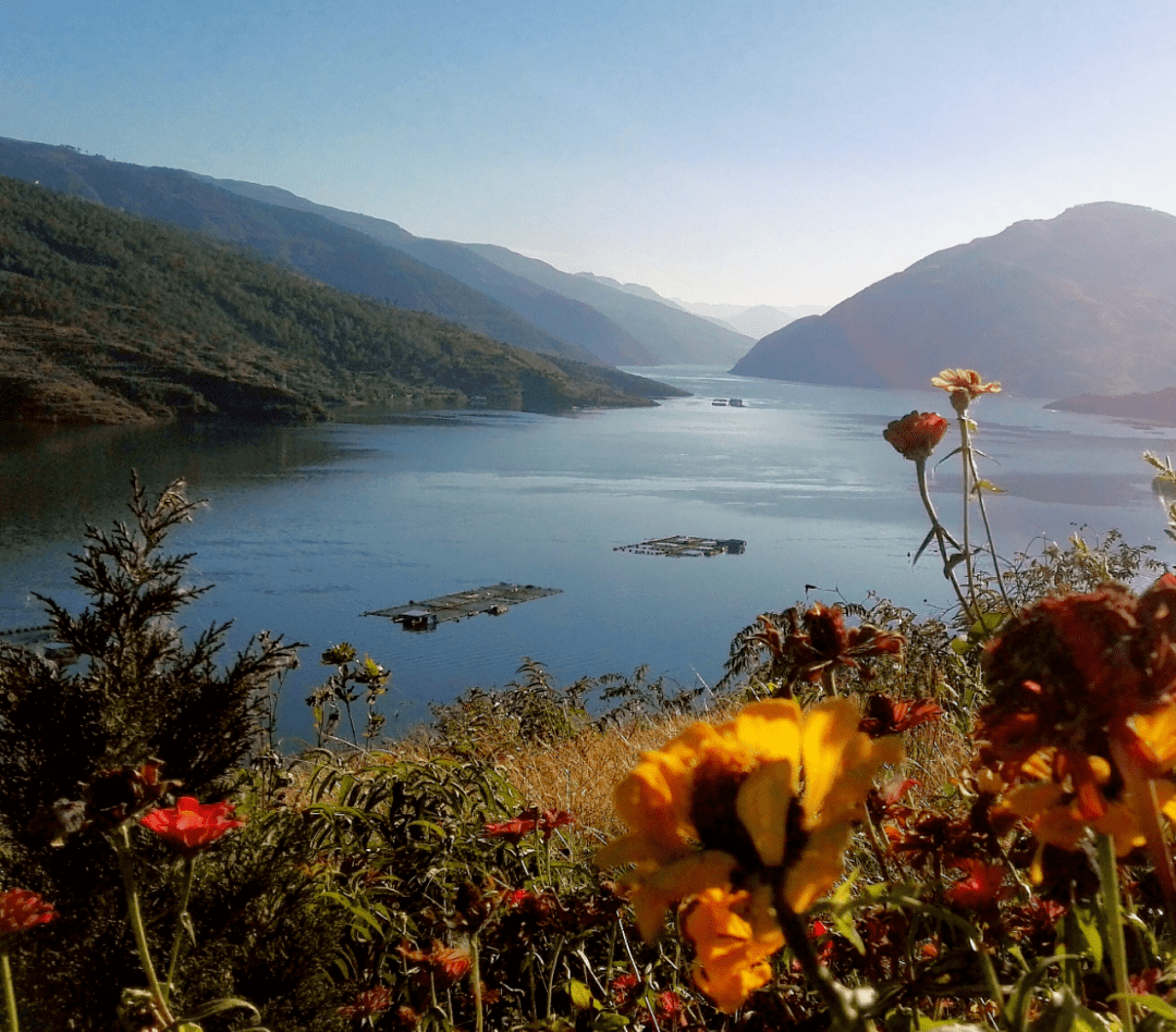 乡村旅游看临沧丨凤庆县新华乡67沙帽村