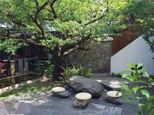 乡村小院你的第二个故乡