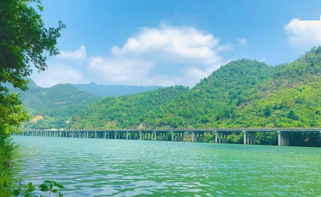 7千米,蜿蜒身躯,每时每刻眷顾着青田县章村乡,祯旺乡,祯埠镇,依依不舍