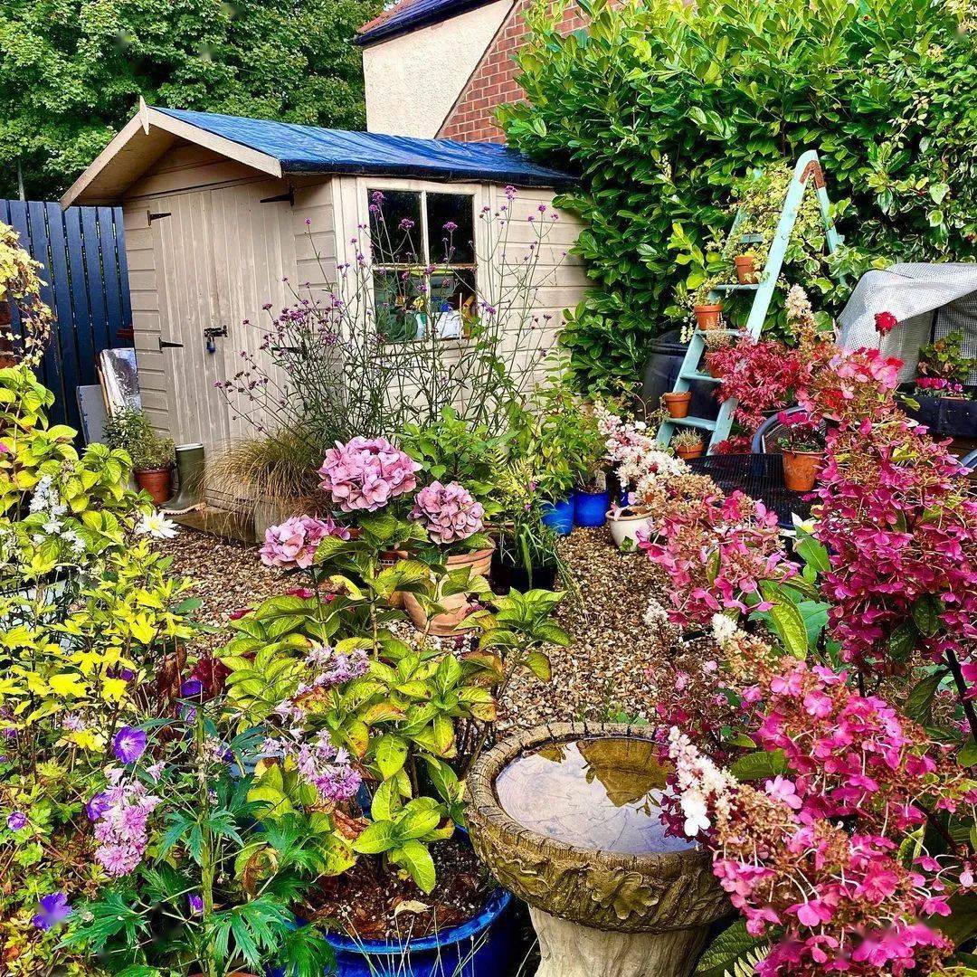 30款精致小院芬芳四溢