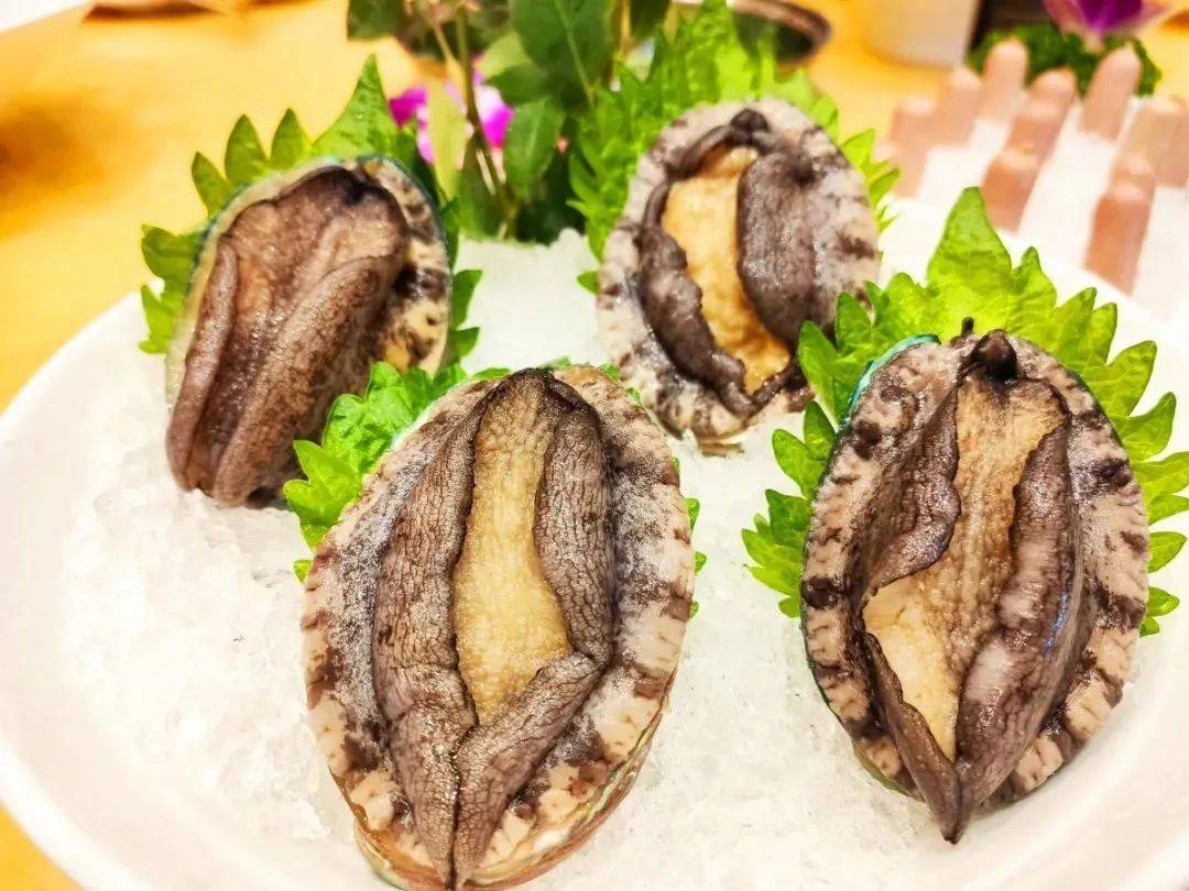 澳门豆捞,谭鸭血,集渔海鲜火锅年终福利驾到~薅火锅羊毛了!