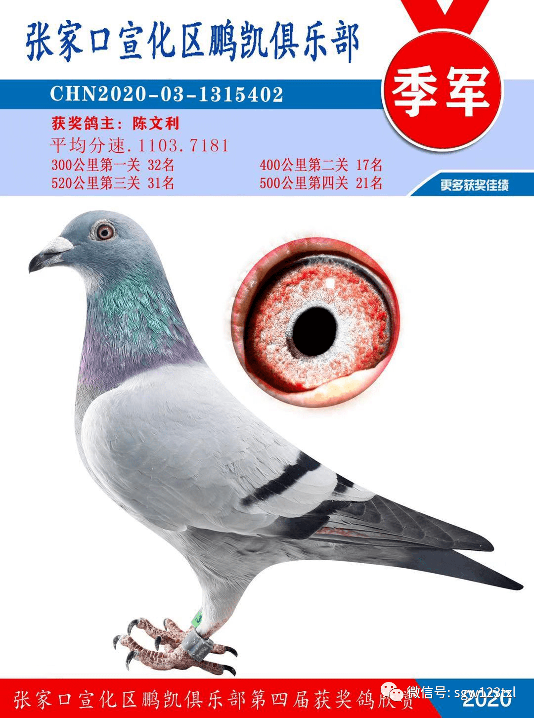 云飞赛事直播