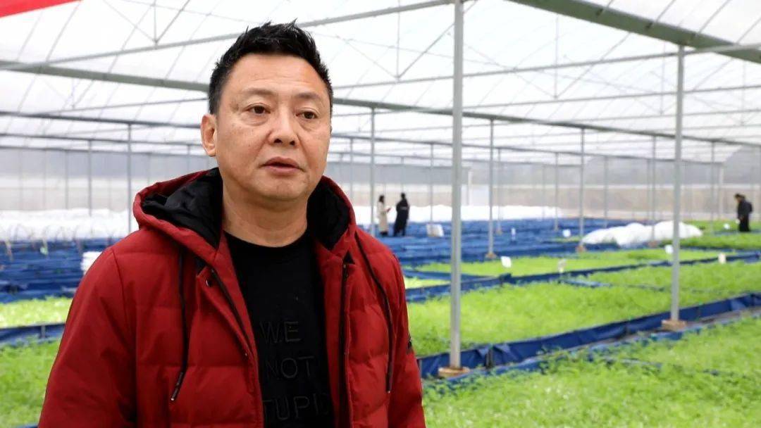 我县推广无土水培蔬菜 助推农业产业发展_永新县