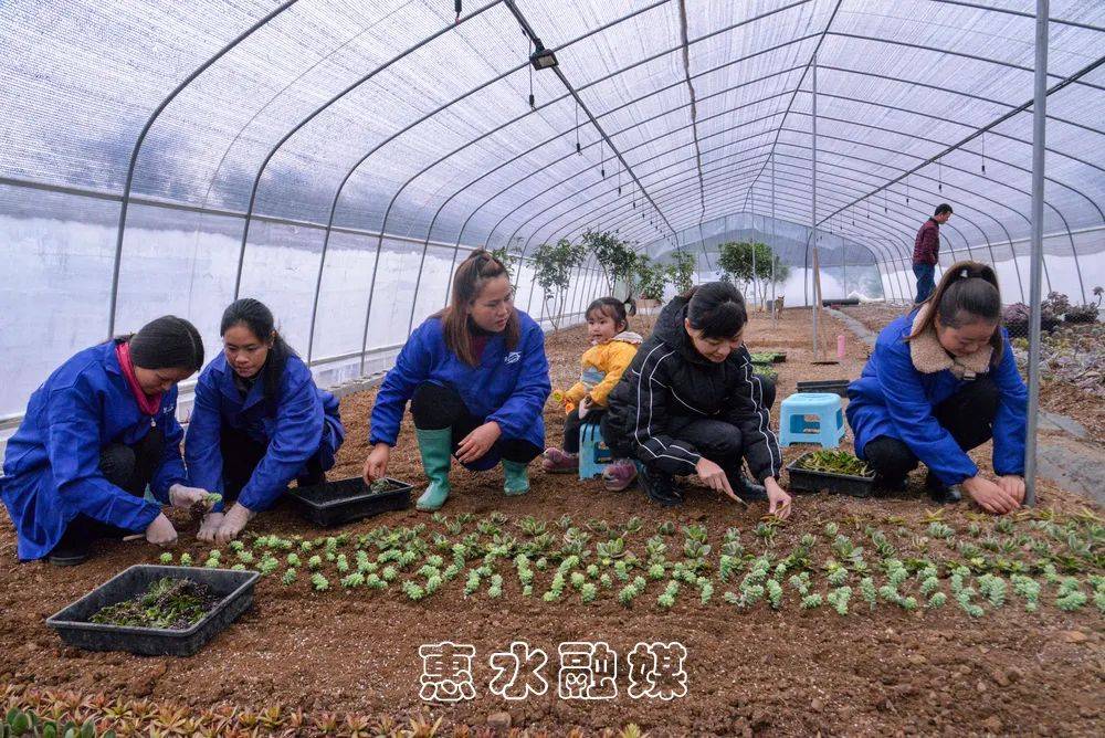 致富门路100种方法视频播放大全下载(致富门路100种方法视频播放大全下载手机版)