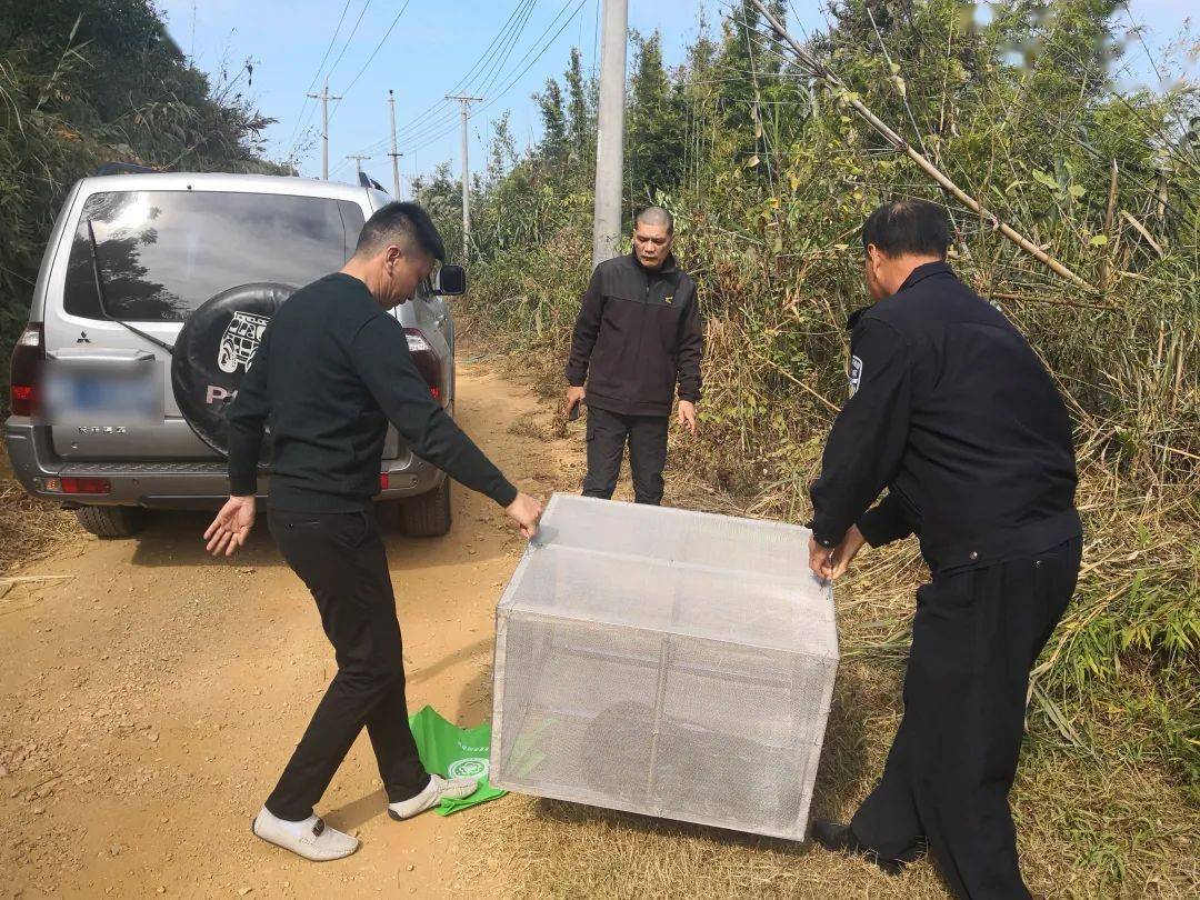 是每个公民的义务,发现野生动物时不要主动去惊扰,如果发现非法捕猎