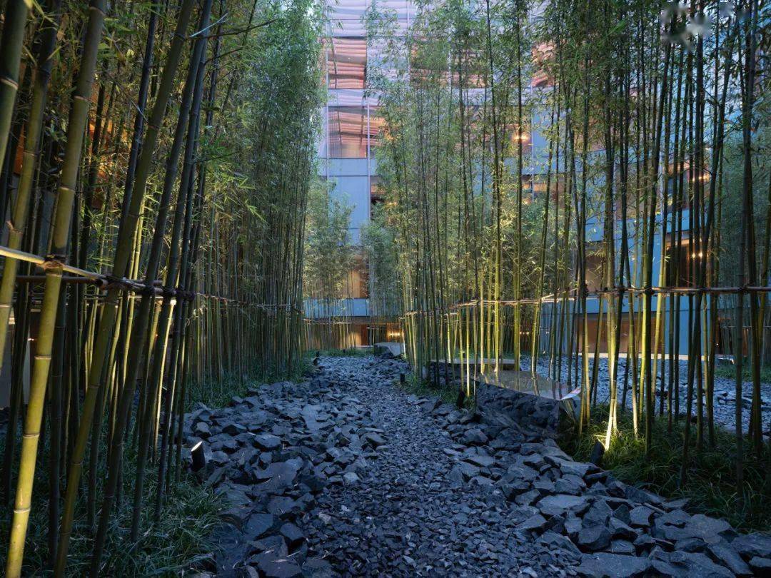 中国文化的现代设计转译大兴机场木棉花酒店