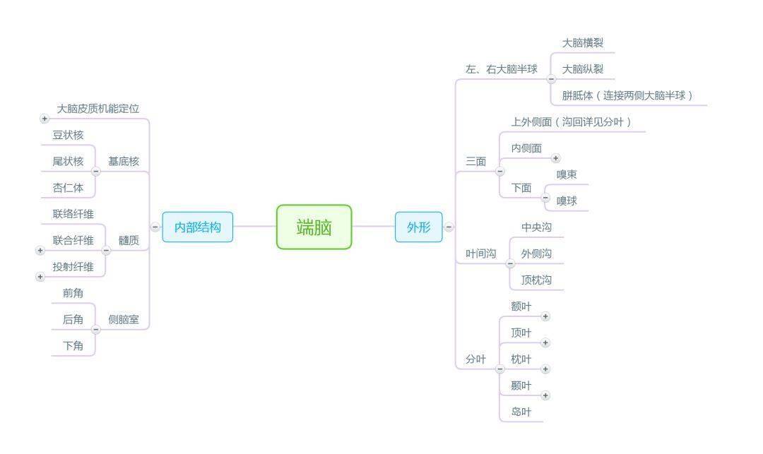 神經系統內分泌系統感覺器官脈管系統生殖系統泌尿系統呼吸系統消化