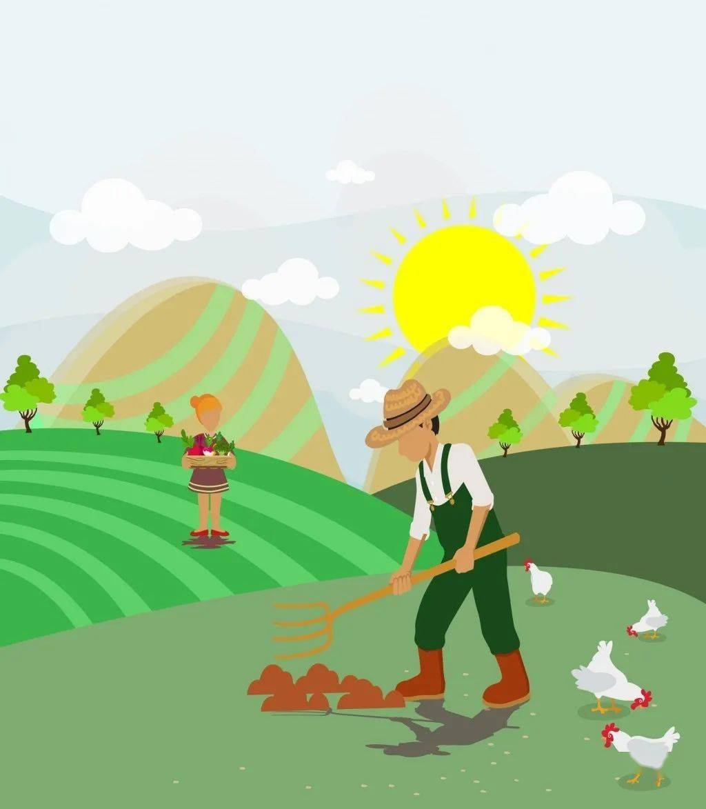 农业科普冬天低温天气灾害农业该如何防范农民朋友看过来